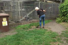 Aussenarbeiten-e1602437579843